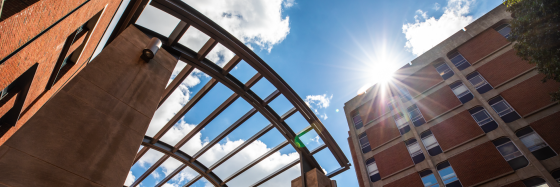 Image of Engineering Arches